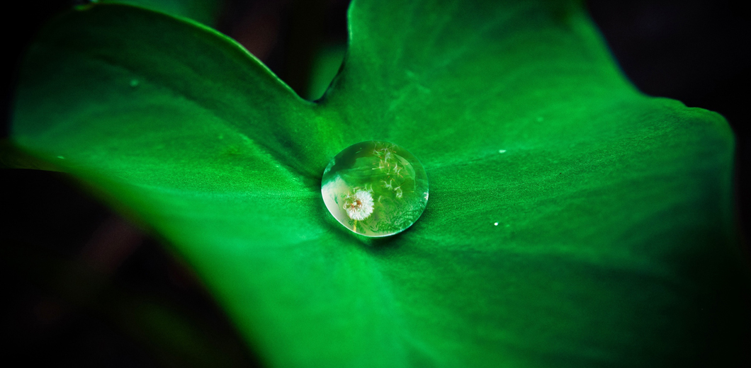 Superhydrophobicity